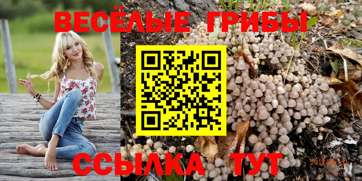 Псилоцибиновые грибы Psilocybe Сафоново